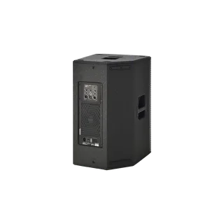 R115 - 15” ACTIVE WOODEN LOUDSPK 120V gallery 4