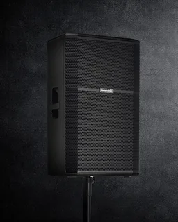 R115 - 15” ACTIVE WOODEN LOUDSPK 120V gallery 7
