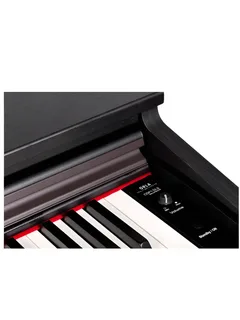 Orla CDP-2 Digital Piano - Rosewood gallery 1