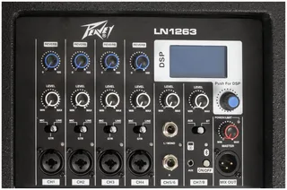 Peavey LN 1263 Column Array gallery 8